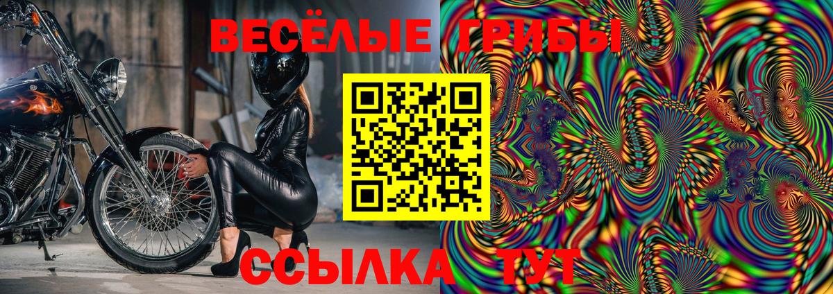 Галлюциногенные грибы прущие грибы Курган