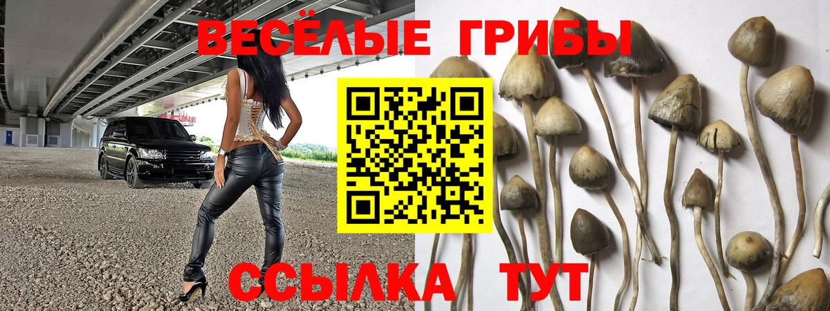 Псилоцибиновые грибы MAGIC MUSHROOMS  Вход с VPN  Курган 
